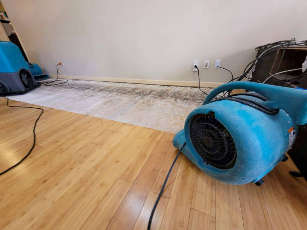 Professional Structural Drying technician working in Bethel, MN